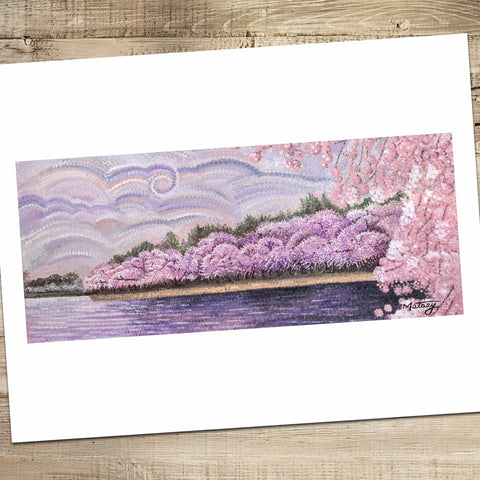 Cherry Blossoms